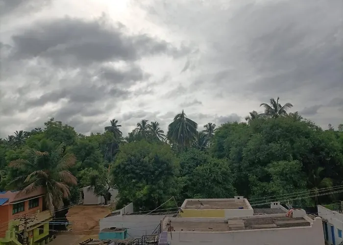 Vidya Homestay